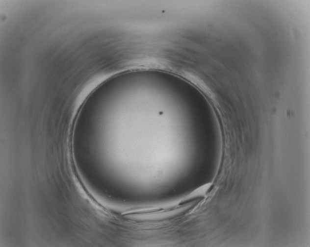 X0000074291440200609011356