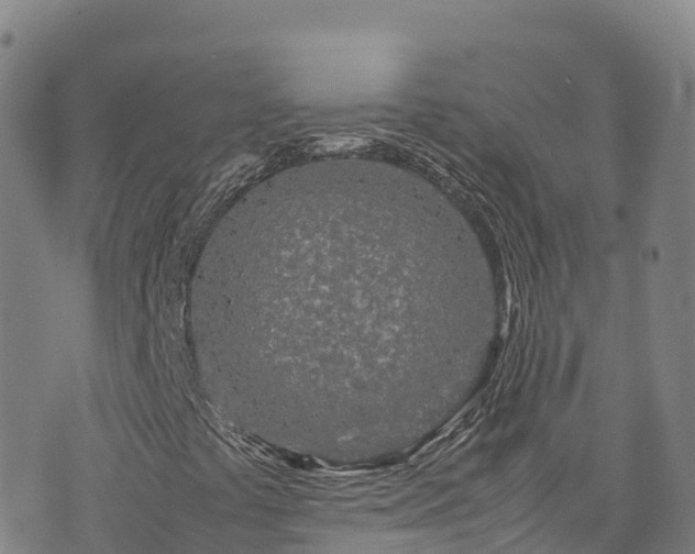 X0000074291441200609011355