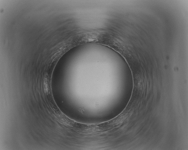 X0000074291442200609011355