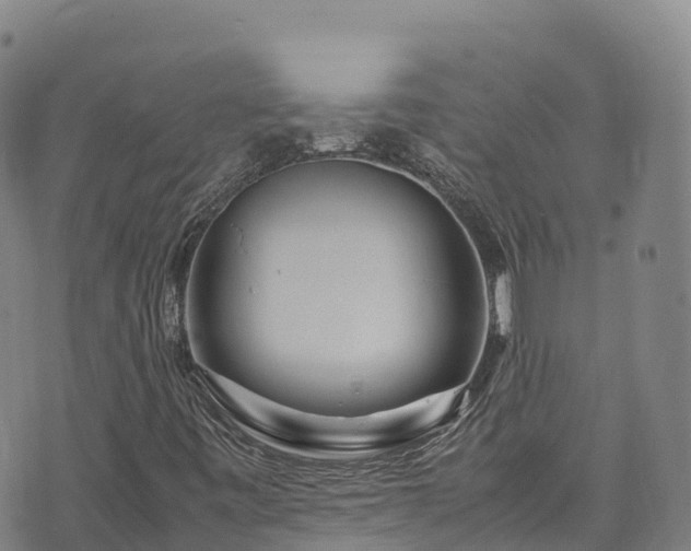 X0000074291443200609011355