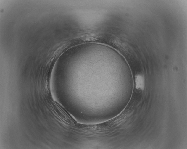 X0000074291444200609011355