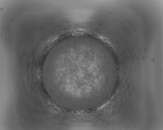 X0000074291445200609011355