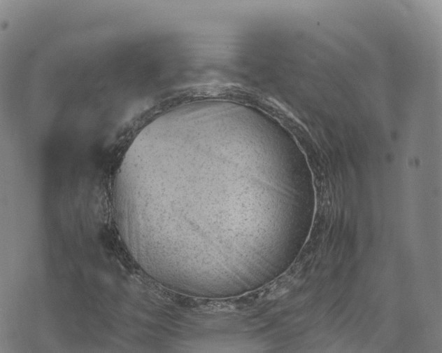 X0000074291446200609011355