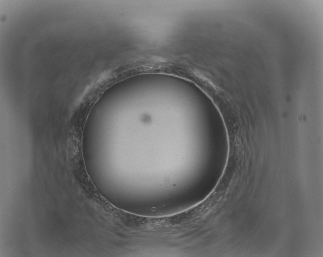 X0000074291447200609011355