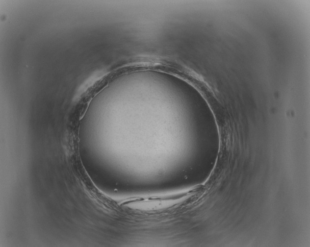 X0000074291448200609011355