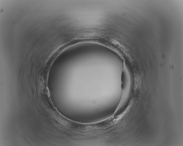 X0000074291449200609011355