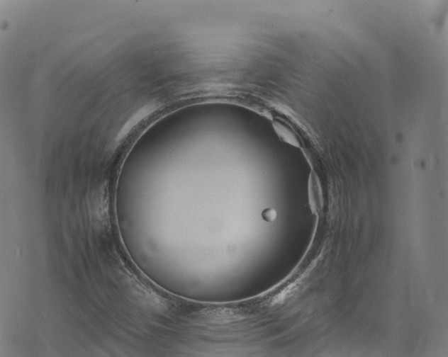 X0000074291450200609011355