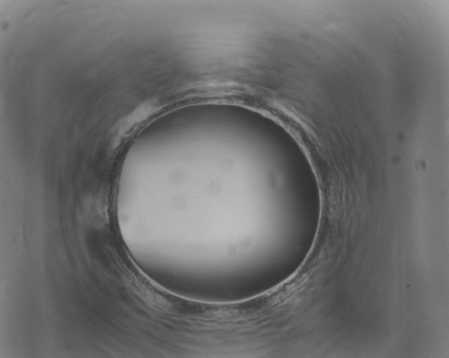 X0000074291451200609011355