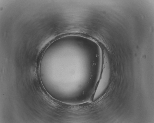 X0000074291452200609011355