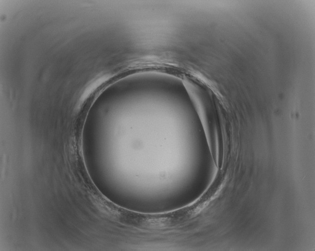 X0000074291453200609011355