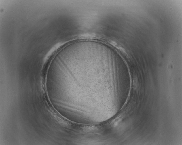 X0000074291454200609011355