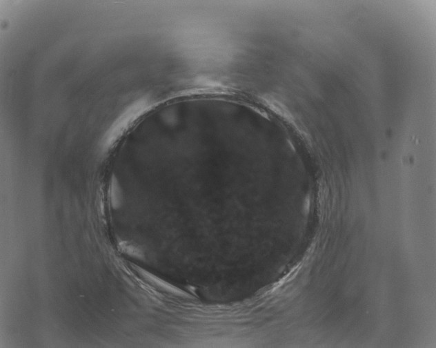 X0000074291455200609011355