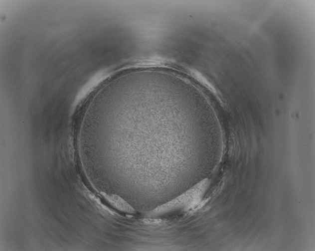 X0000074291456200609011355