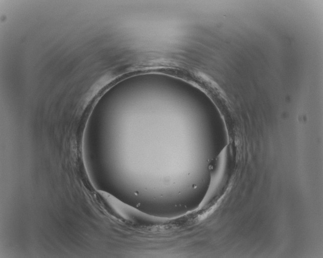 X0000074291457200609011355