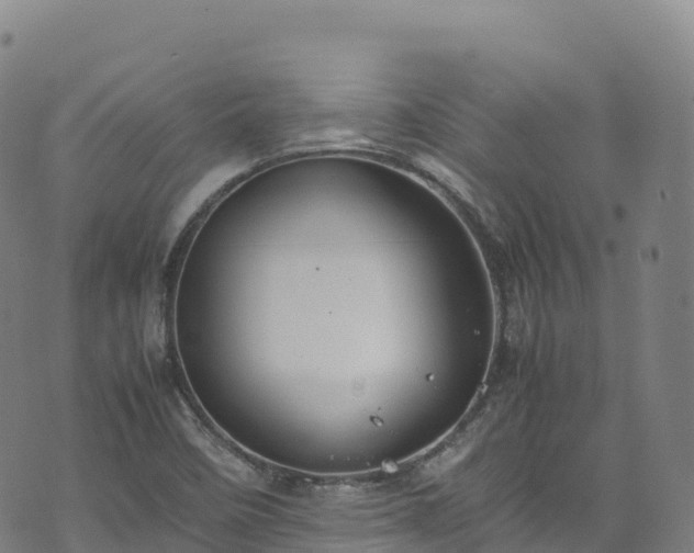 X0000074291458200609011355