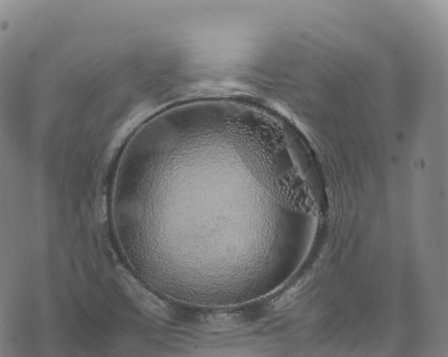 X0000074291459200609011355