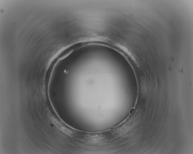 X0000074291460200609011355