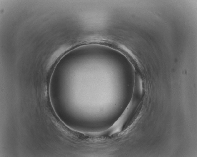 X0000074291461200609011355