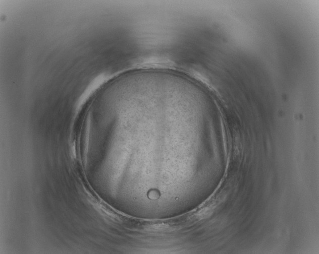 X0000074291462200609011355