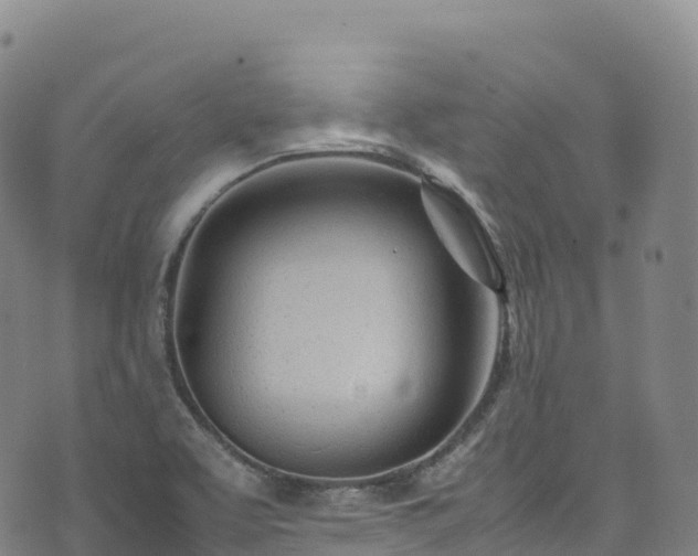 X0000074291463200609011355