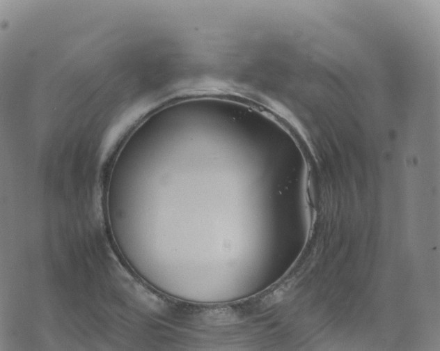 X0000074291464200609011355