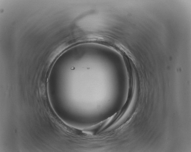 X0000074291465200609011355