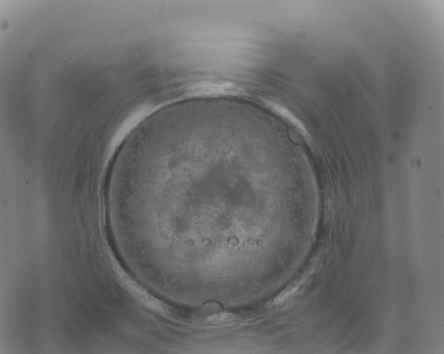 X0000074291467200609011355