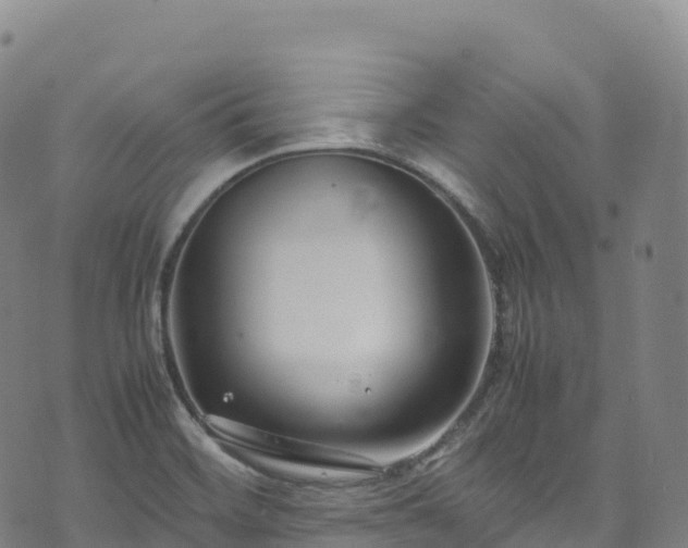 X0000074291468200609011355