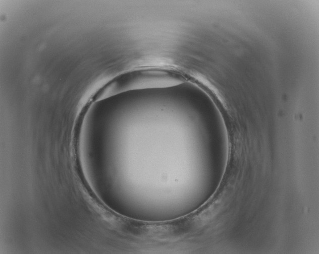 X0000074291469200609011355