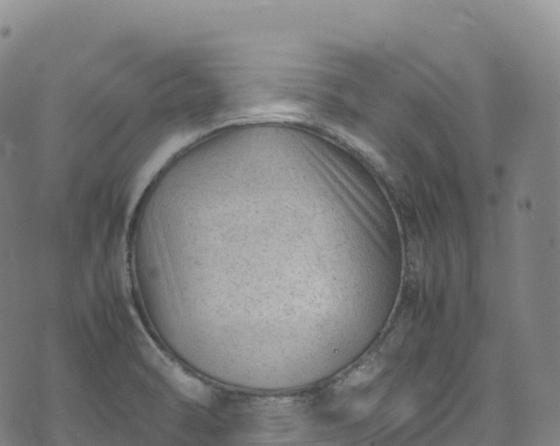 X0000074291470200609011355