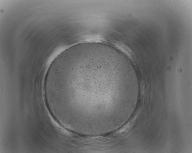 X0000074291471200609011355