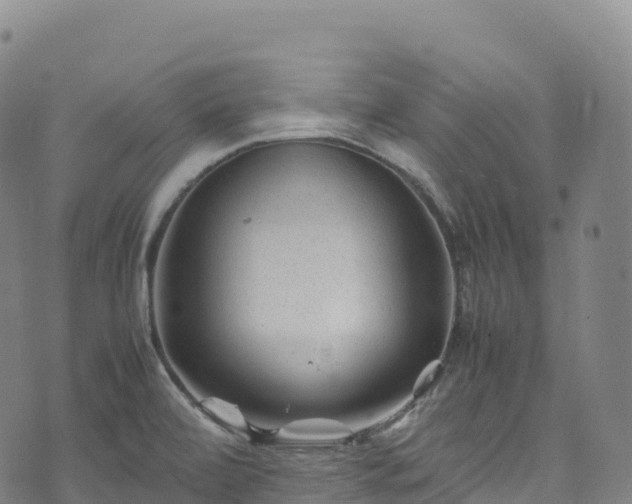 X0000074291472200609011355