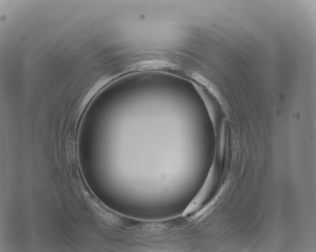 X0000074291473200609011354