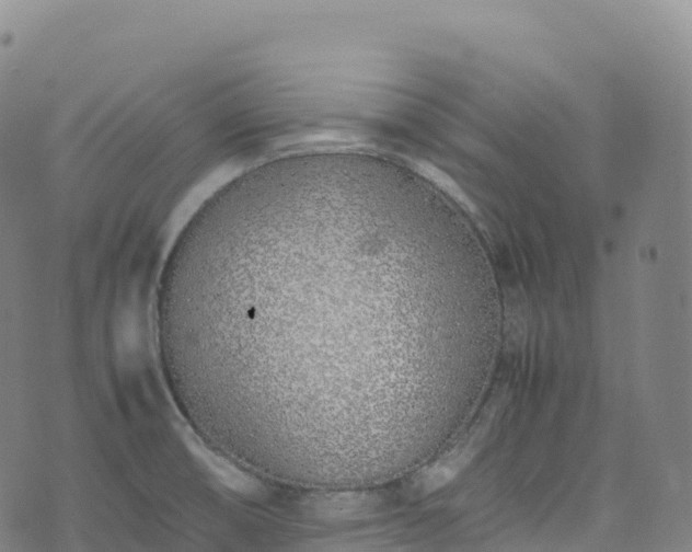 X0000074291474200609011354