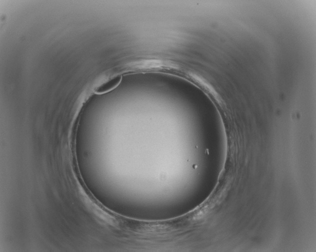 X0000074291475200609011354