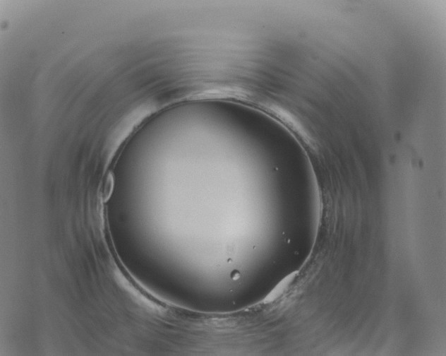 X0000074291476200609011354