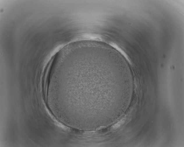 X0000074291477200609011354