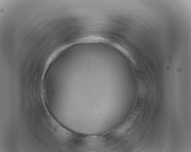 X0000074291478200609011354