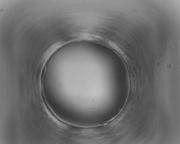 X0000074291479200609011354