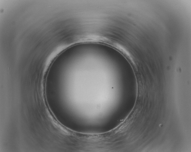 X0000074291480200609011354