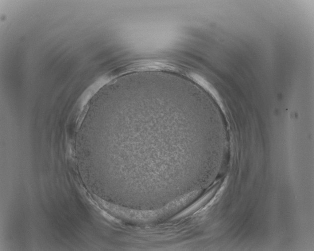 X0000074291481200609011354