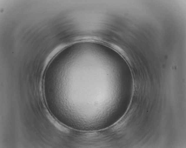 X0000074291482200609011354