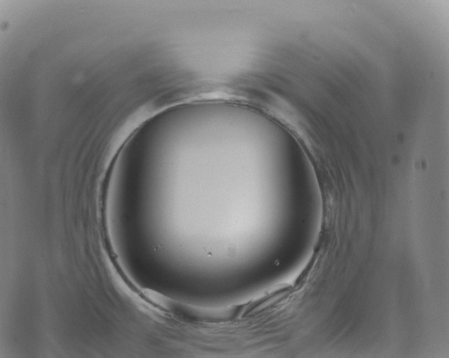 X0000074291483200609011354