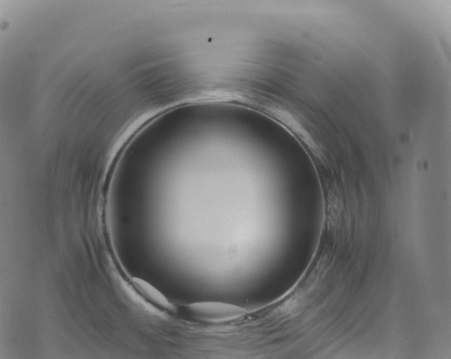 X0000074291484200609011354