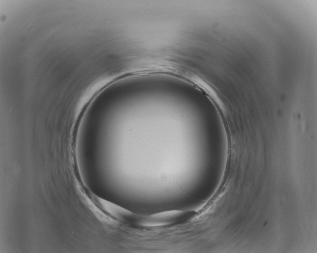 X0000074291485200609011354