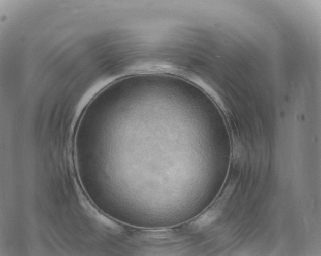 X0000074291486200609011354