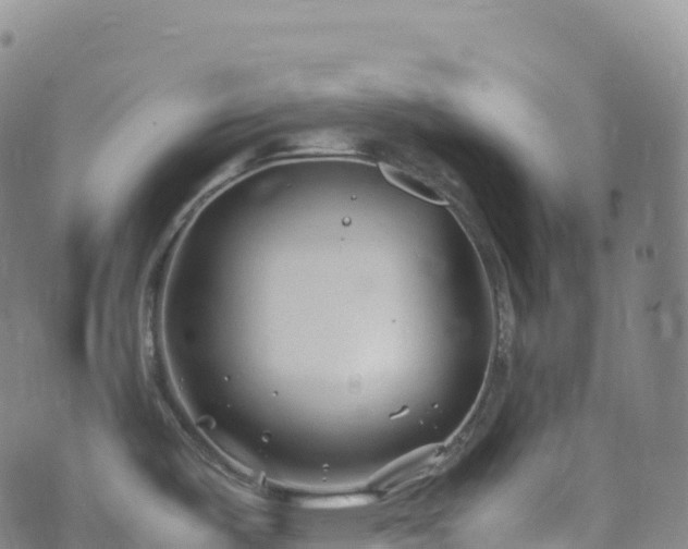 X0000074291487200609011354