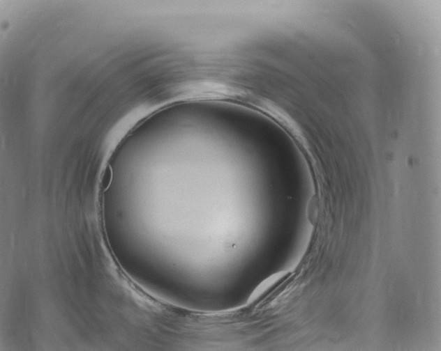 X0000074291488200609011354