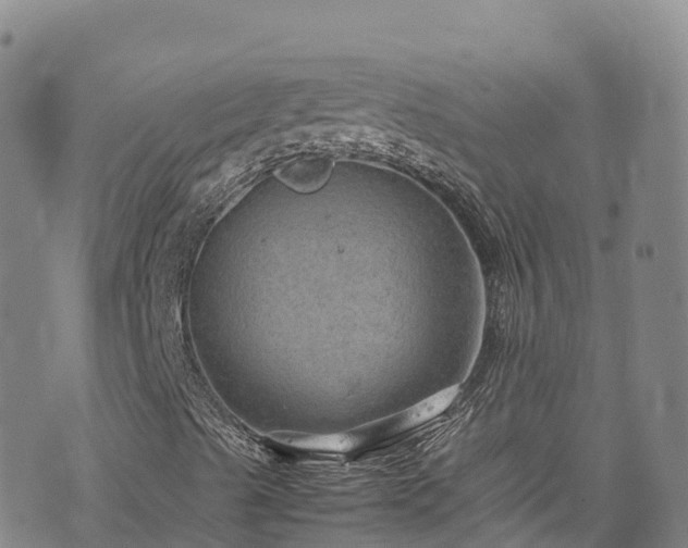 X0000074291489200609011353