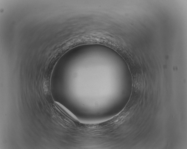 X0000074291490200609011353